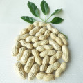 Chinese Wholesale Peanuts In Shell